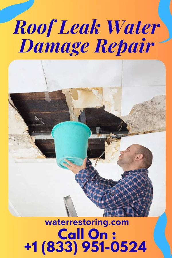 Roof Leak Water Damage Repair in Waitsburg, WA